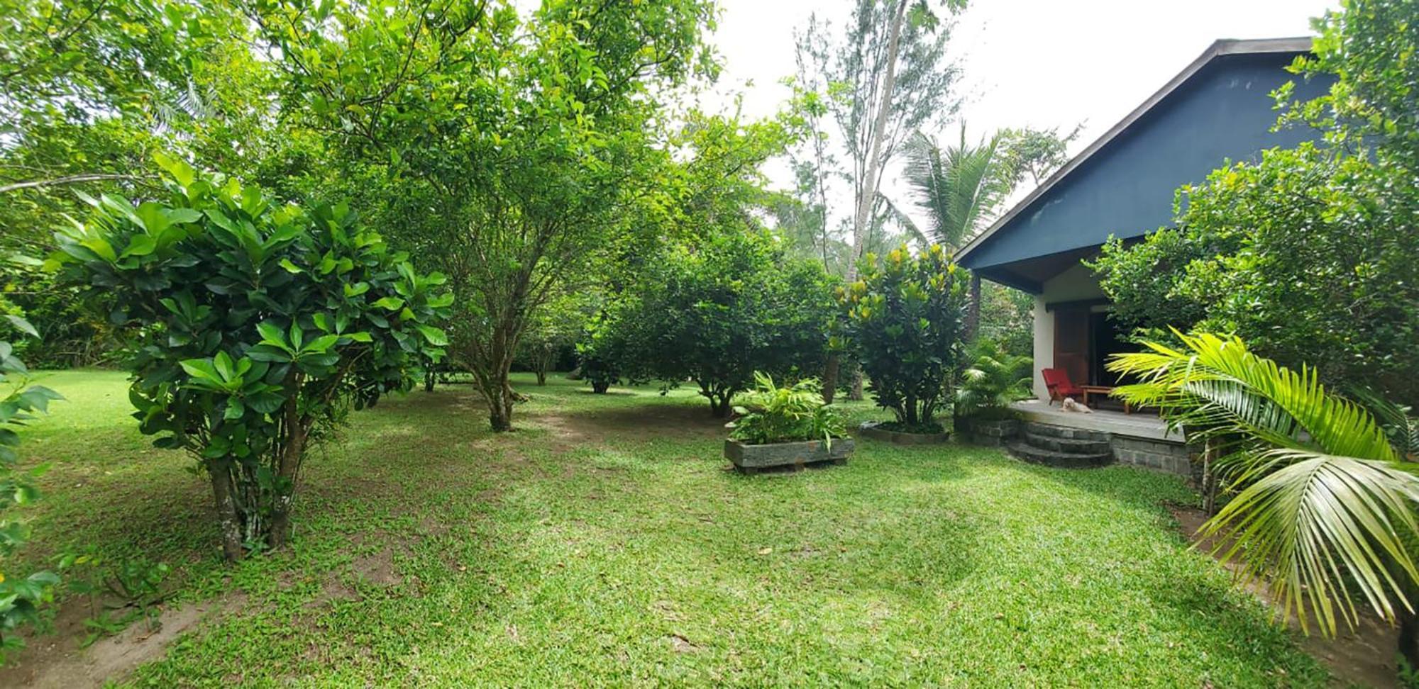 Ile Sainte-MarieLes Citronniers住宿加早餐旅馆 外观 照片